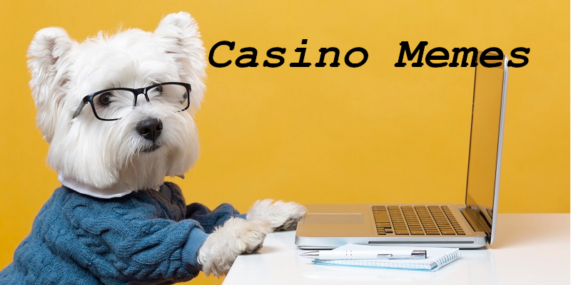 Gambling Memes - Funny Casino Images and Pictures