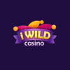 iWild Casino